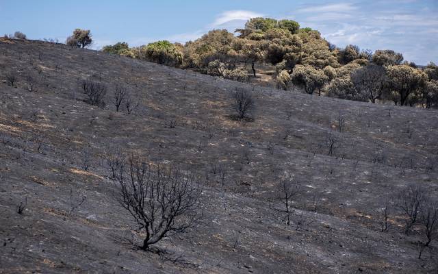 Villa del Prado tras el incendio forestal de la Sierra Oeste