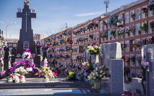 #m_getTitleImage($tempImage) #m_getAltImage($tempImage)