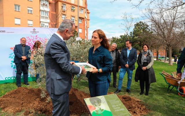 En abril de 2025, el Ayuntamiento de Getafe junto con la Mesa de la Convivencia plantaron, junto con el Embajador del Estado Palestino, Husni Abdel Wahed, un olivo en la calle Palestina