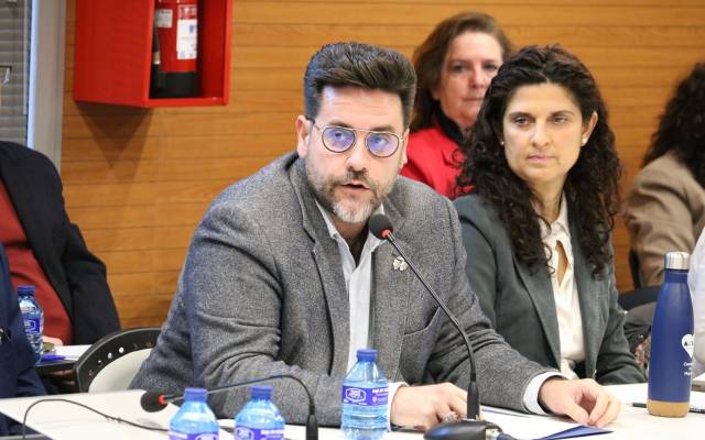 El concejal de Cultura, Santiago Alonso, interviene en el pleno de la ciudad