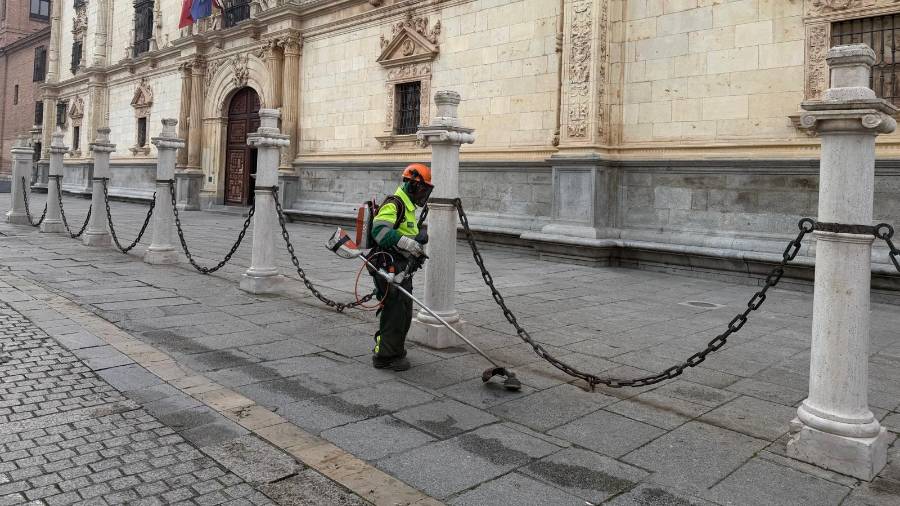 Operario que trabaja en la campaña de desbroce por la ciudad
