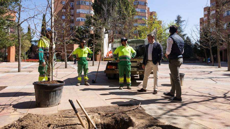 El alcalde de Tres Cantos, Jesús Moreno, visita una plantación de árboles en el municipio