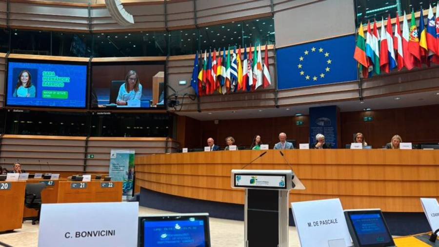 Sara Hernández presenta en el Parlamento Europeo la estrategia de vivienda de Getafe Sara Hernández presenta en el Parlamento Europeo la estrategia de vivienda de Getafe