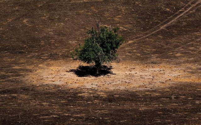 #m_getAltImage($tempImage)