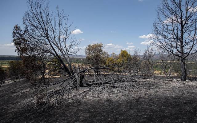 #m_getAltImage($tempImage)
