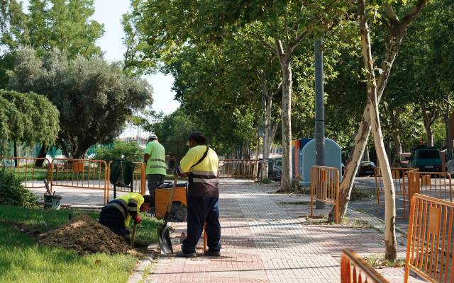 Se está arreglando la acera Robles