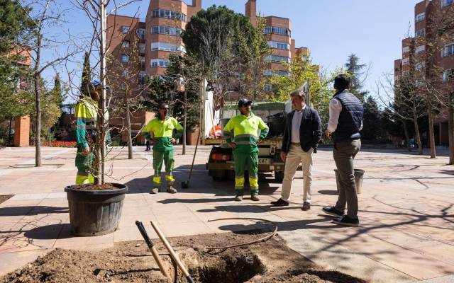 El alcalde de Tres Cantos, Jesús Moreno, visita una plantación de árboles en el municipio