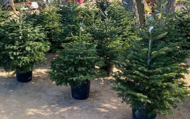 #m_getAltImage($tempImage)