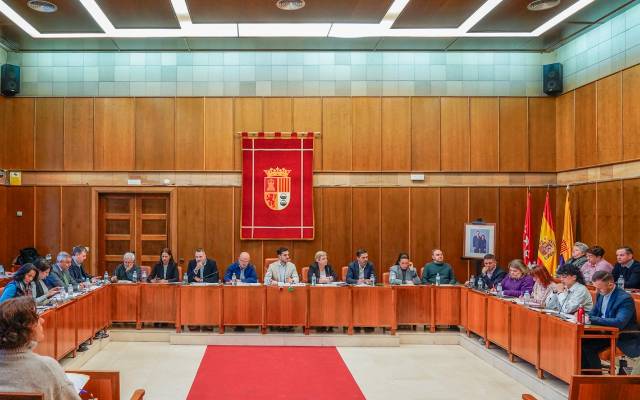 El Pleno del Ayuntamiento de Torrejón de Ardoz aprueba por unanimidad una declaración institucional con motivo del Día Internacional de la Eliminación de la Violencia contra la Mujer