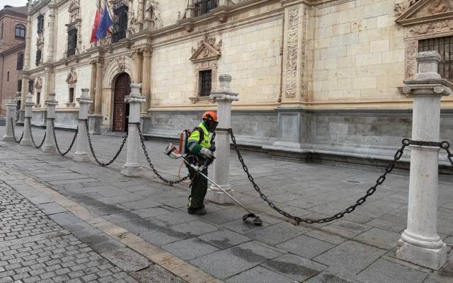 Operario que trabaja en la campaña de desbroce por la ciudad