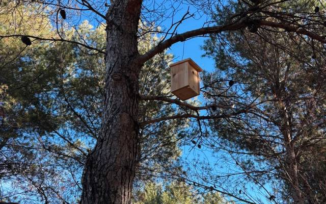 Se sitúan en grandes parques urbanos, hasta enclaves naturales más periféricos.