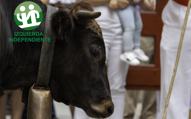 Un toro durante un encierro