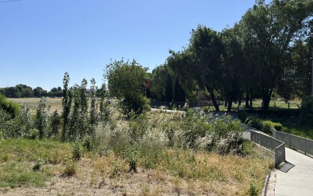 Entorno arroyo Camarmilla