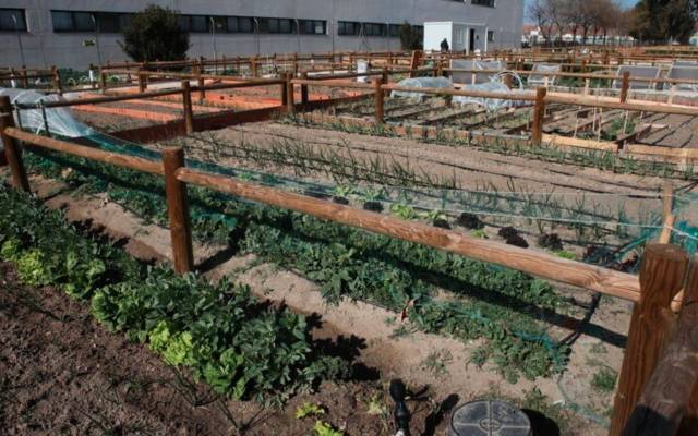 Huertos urbanos en Getafe