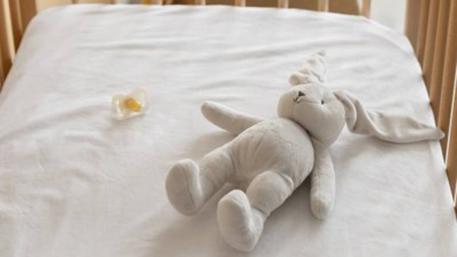 Imagen de recurso de un peluche y un chupete en una cuna