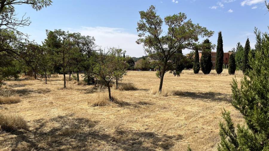 Entorno de la Villa romana de El Val