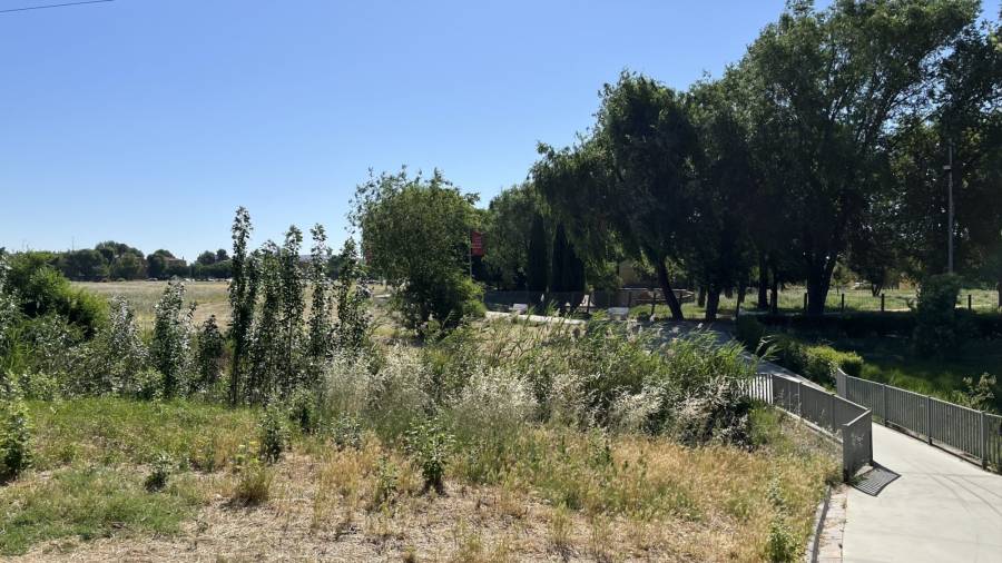 Entorno arroyo Camarmilla