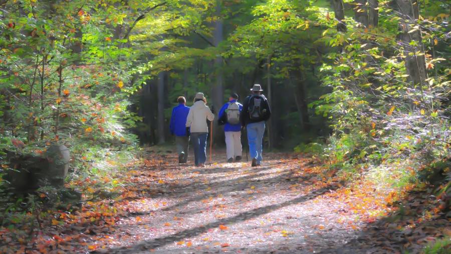 Un grupo de personas en una ruta de senderismo