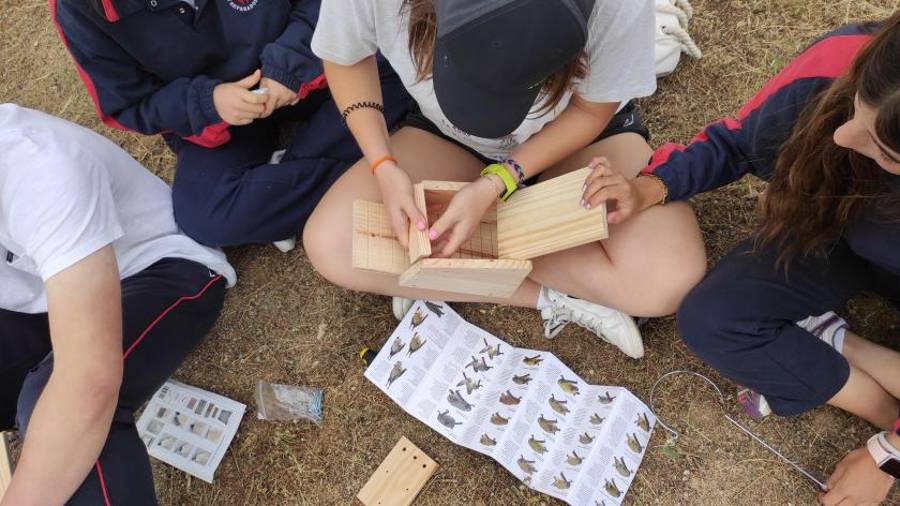 Imagen de recurso de varios menores realizando una actividad con maderas en la naturaleza