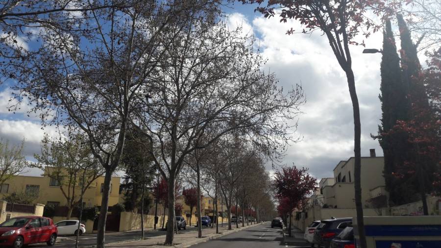 Imagen de recurso de este barrio de San Sebastián de los Reyes