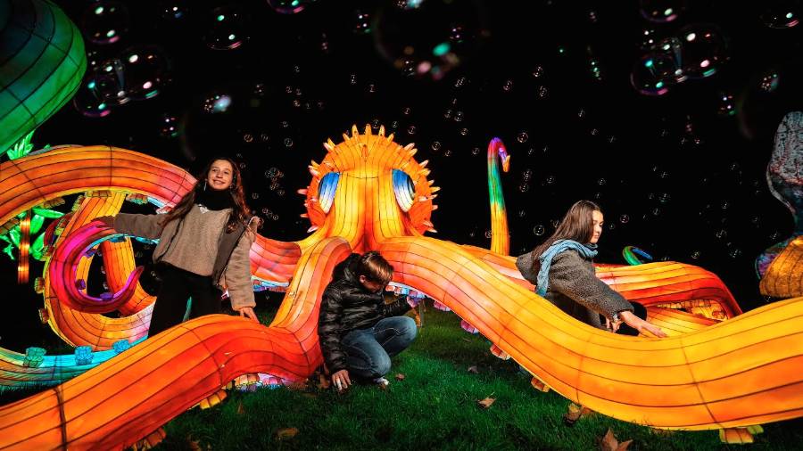 Mezcla arte, tecnología y naturaleza