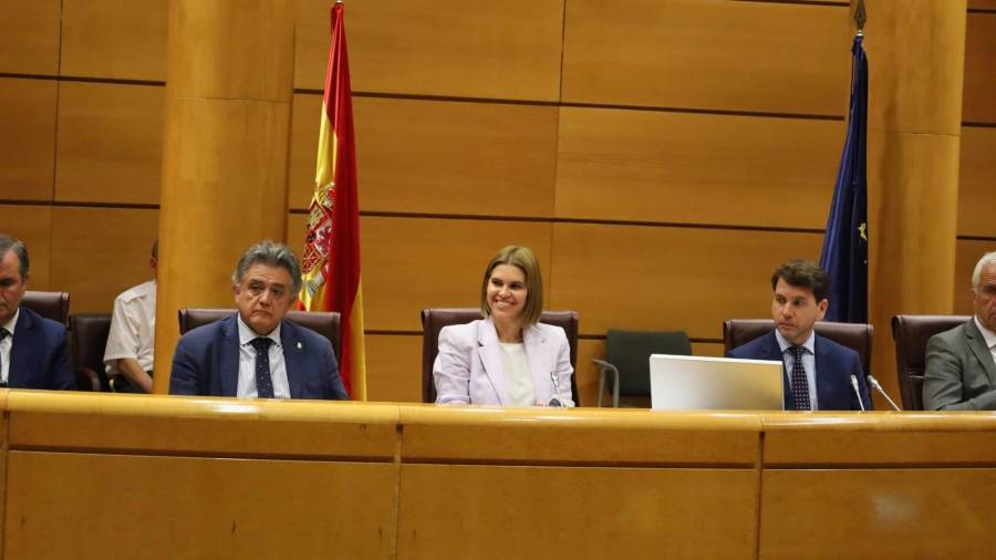 La alcaldesa, Judith Piquet, en la Comisión de Entidades Locales del Senado
