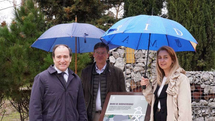 El delegado de Urbanismo, Medio Ambiente y Movilidad, Borja Carabante, visita junto al concejal delegado de Limpieza y Zonas Verdes, José Antonio Martínez Páramo, y la concejala de Ciudad Lineal, Nadia Álvarez, el barrio de Pueblo Nuevo