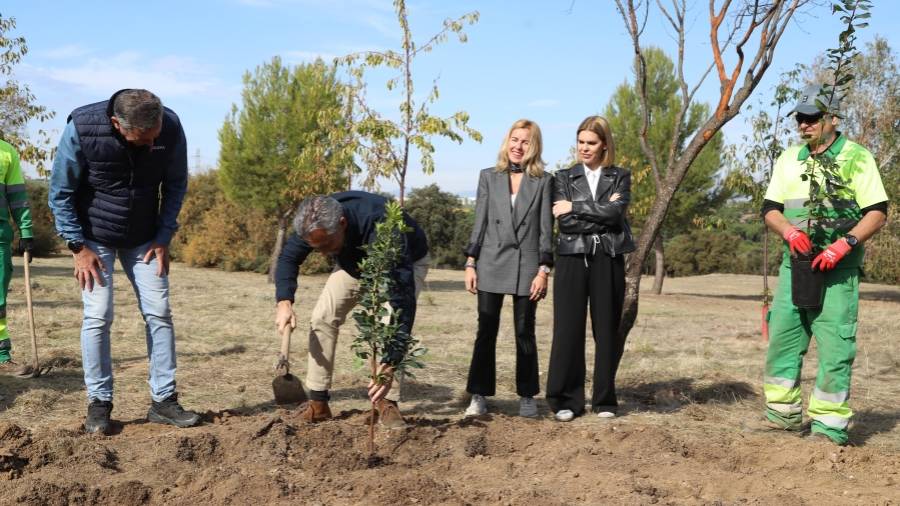 El consejero de Medio Ambiente, Agricultura e Interior, Carlos Novillo, junto a la alcaldesa de Alcobendas, Rocío García Alcántara, y la presidenta de la FMM, Judith Piquet, durante la entrega de más de 5.200 nuevas plantas del IMIDRA a la localidad