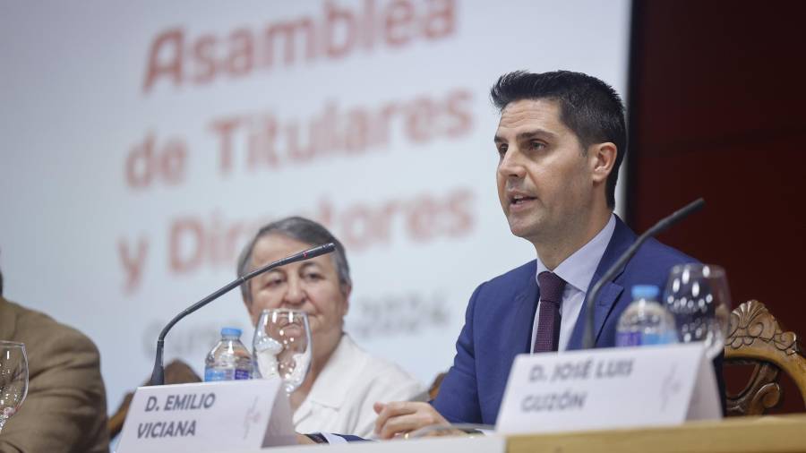 El consejero de Educación, Ciencia y Universidades de la Comunidad de Madrid, Emilio Viciana