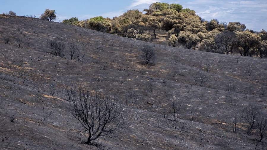 Villa del Prado tras el incendio forestal de la Sierra Oeste