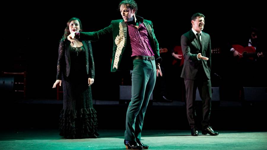 Ballet Flamenco José Porcel Momentos