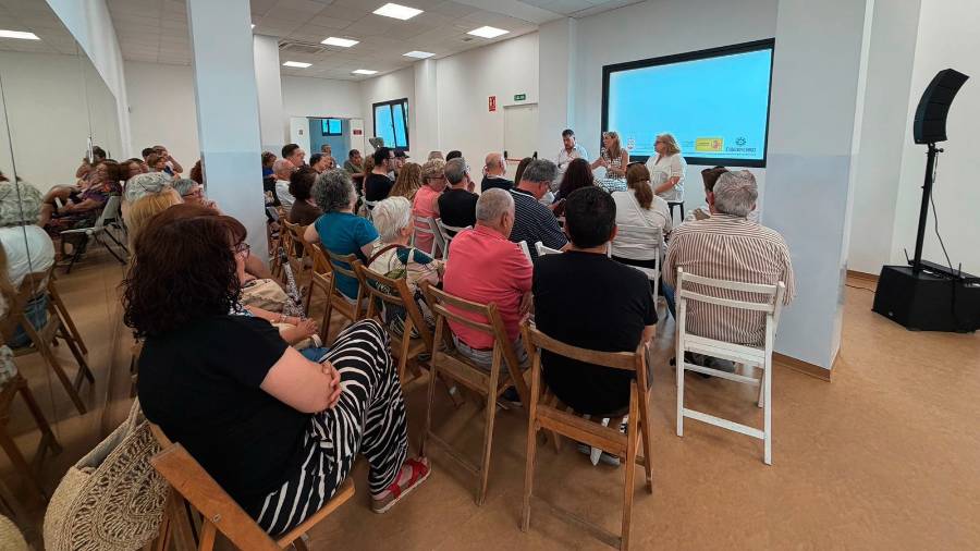 La alcaldesa, Candelaria Testa, explicó la propuesta a los propietarios del programa