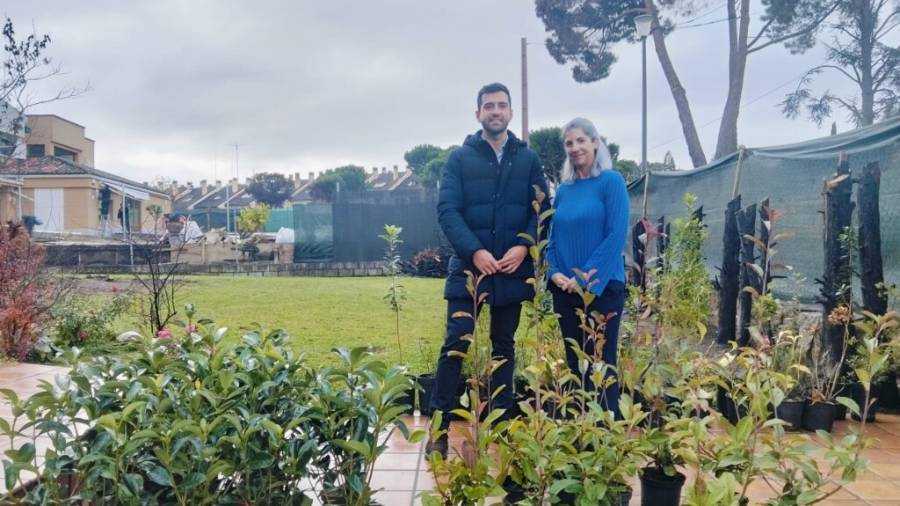 Arbustivas recibidas para Soto de Viñuelas