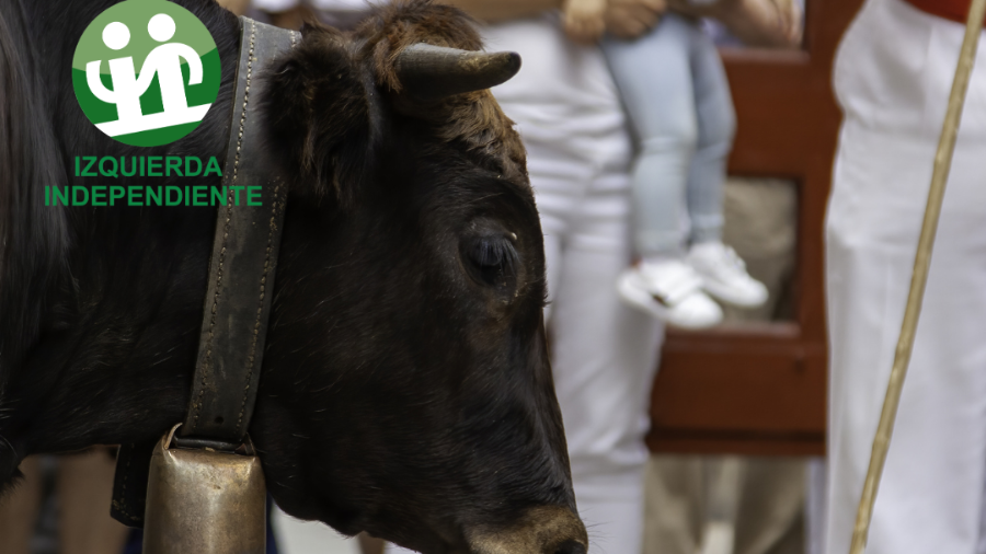 Un toro durante un encierro