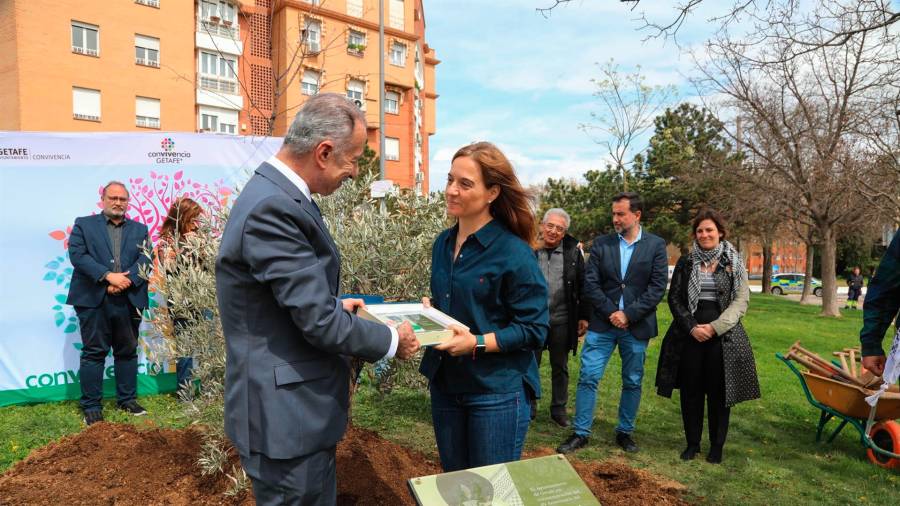 En abril de 2025, el Ayuntamiento de Getafe junto con la Mesa de la Convivencia plantaron, junto con el Embajador del Estado Palestino, Husni Abdel Wahed, un olivo en la calle Palestina