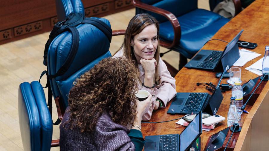 La nueva portavoz de VOX en la Asamblea de Madrid, Isabel Pérez Moñino-Aranda, durante un pleno