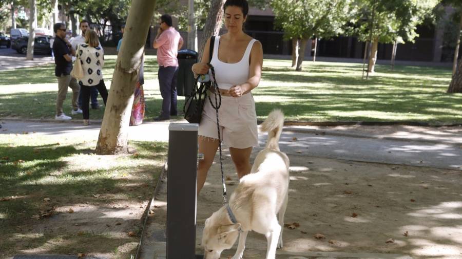 Madrid cuenta con 60 nuevas fuentes de agua potable repartidas en 16 distritos de la ciudad