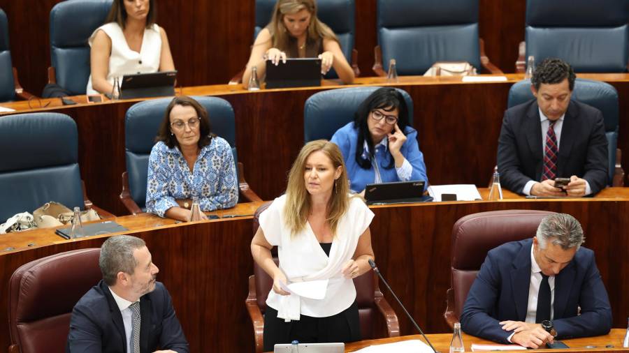 La consejera de Familia, Juventud y Asuntos Sociales, Ana Dávila, interviene durante un pleno en la Asamblea de Madrid