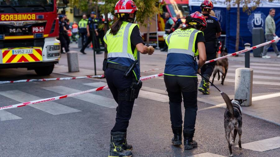 Un perro entrenado llega a las inmediaciones dónde se ha derrumbado un edificio en obras para buscar desaparecidos, en la zona de Ópera