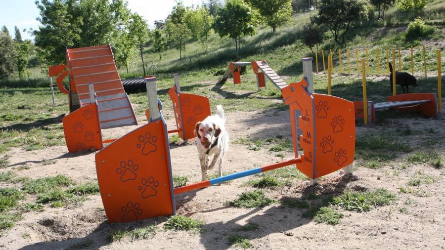 Área canina del municipio