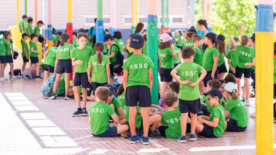 Campamentos de verano para los niños en el municipio