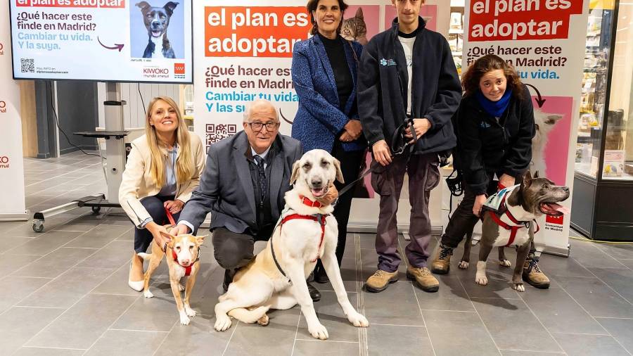 Campaña regional ‘El Plan es Adoptar’
