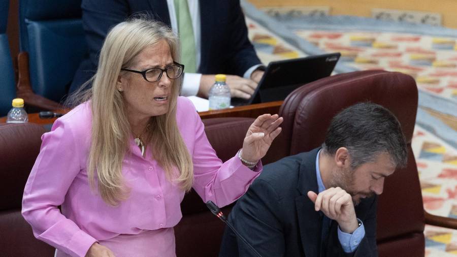 La consejera de Economía, Hacienda y Empleo de la Comunidad de Madrid, Rocío Albert, interviene durante un pleno en la Asamblea de Madrid