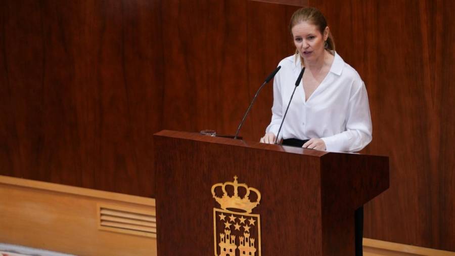 La consejera de Familia, Juventud y Asuntos Sociales, Ana Dávila, en la Asamblea de Madrid