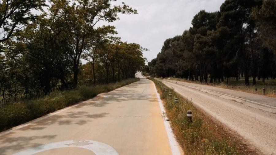 Las obras de la Vereda de la Torrecilla avanzan por fases