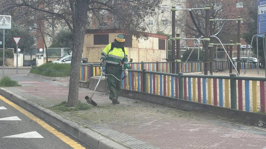 Operario que trabaja en la campaña de desbroce por la ciudad