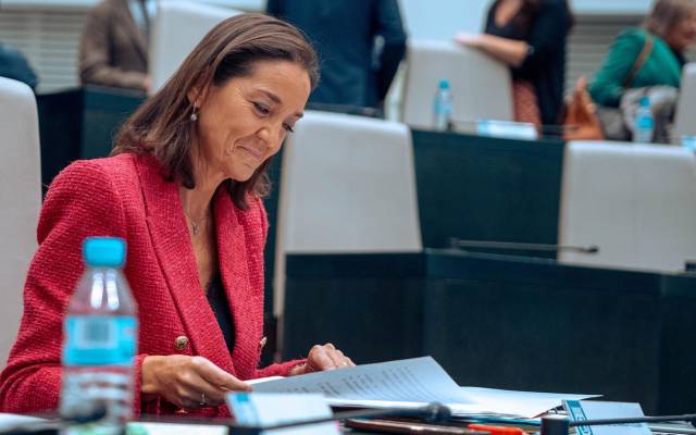 La portavoz del Grupo Municipal Socialista de Madrid, Reyes Maroto, durante un pleno del Ayuntamiento