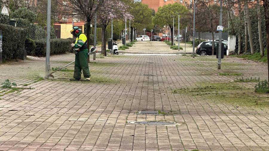 Operario que trabaja en la campaña de desbroce por la ciudad