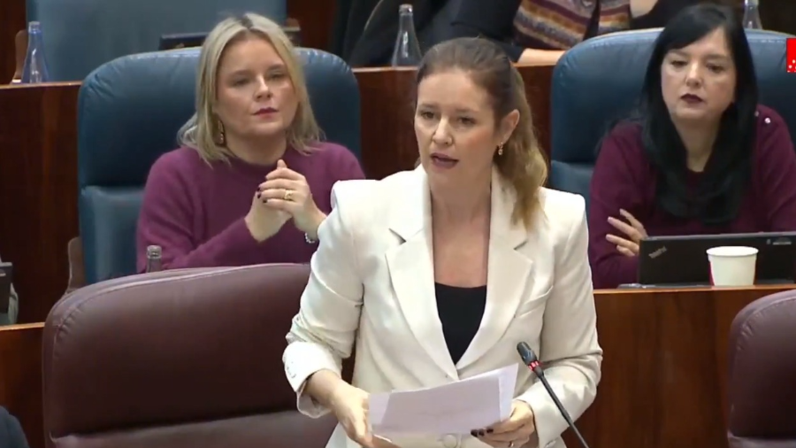 La consejera de Familia, Juventud y Asuntos Sociales, Ana Dávila, en la sesión de control de la Asamblea de Madrid